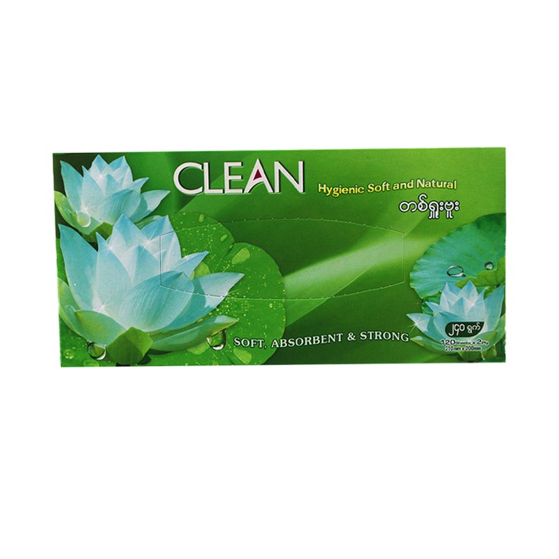 Clean Facial Tissue  400s